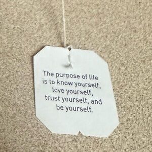 Meet your Posher, Pinkie